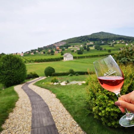 Hotel Roze Vendeghaz Villány Zewnętrze zdjęcie