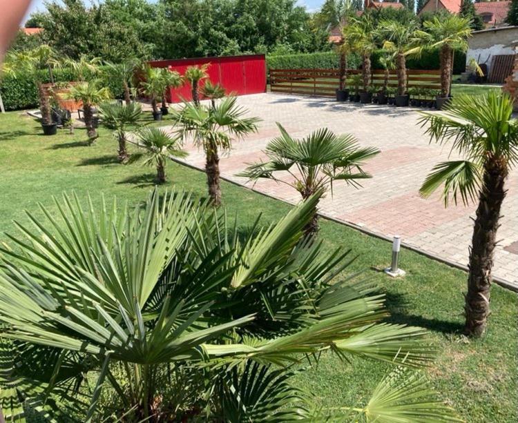 Hotel Roze Vendeghaz Villány Zewnętrze zdjęcie