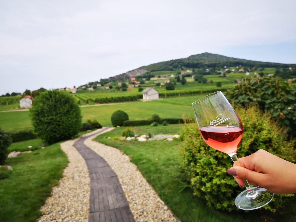 Hotel Roze Vendeghaz Villány Zewnętrze zdjęcie